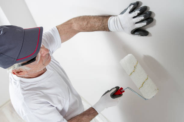 Best Air Quality Testing for Mold Spores  in Laguna Beach, FL