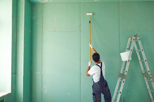 Best Biohazard Mold Removal  in Laguna Beach, FL