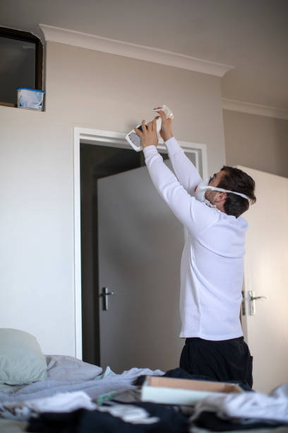 Best Mold Damage Restoration  in Laguna Beach, FL