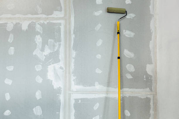Best Residential Mold Inspection & Testing  in Laguna Beach, FL