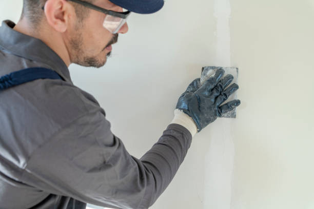 Best Emergency Mold Remediation  in Laguna Beach, FL