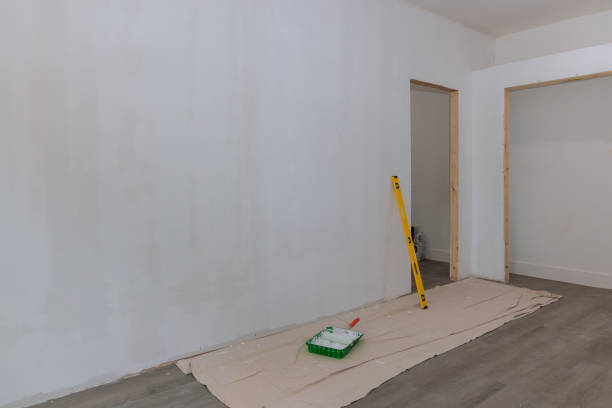 Reliable Laguna Beach, FL Mold Removal Solutions