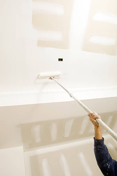 Environmental Consulting for Mold Prevention in Laguna Beach, FL