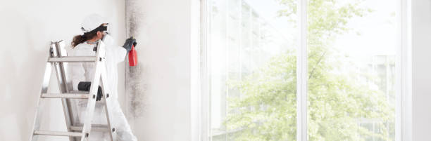 Best Mold Remediation for Healthcare Facilities  in Laguna Beach, FL