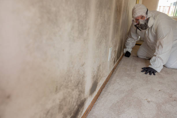 Best Comprehensive Air Testing for Mold Contaminants  in Laguna Beach, FL