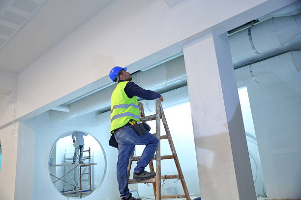 Best Environmental Consulting for Mold Prevention  in Laguna Beach, FL