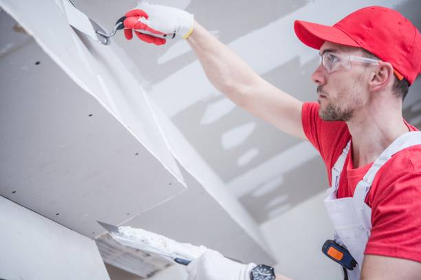 Best Real Estate Mold Inspection  in Laguna Beach, FL